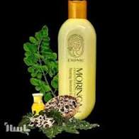شامپو موی سر حاوی روغن مورینگا